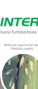 Interceptor – Folleto