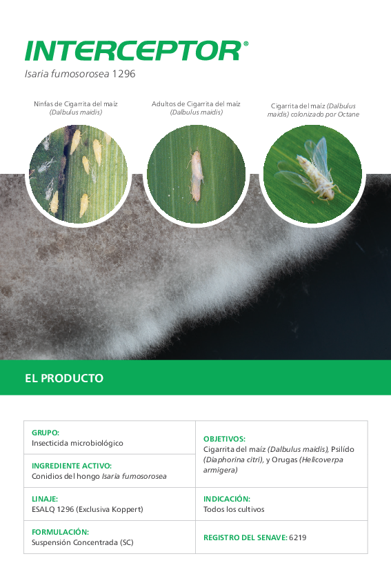 Interceptor – Folleto