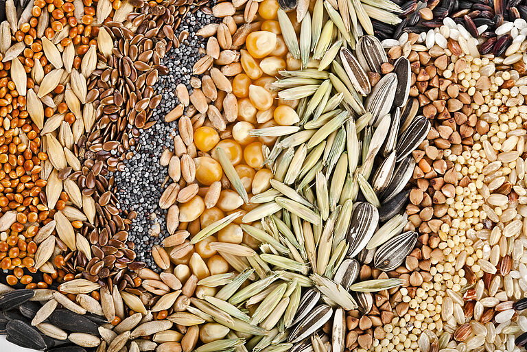 Qué es el tratamiento de semillas