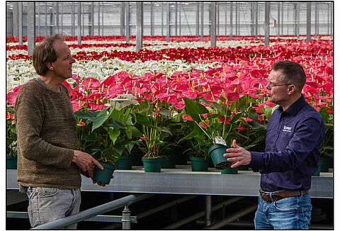 Amazone Plants continues the path of organic cultivation