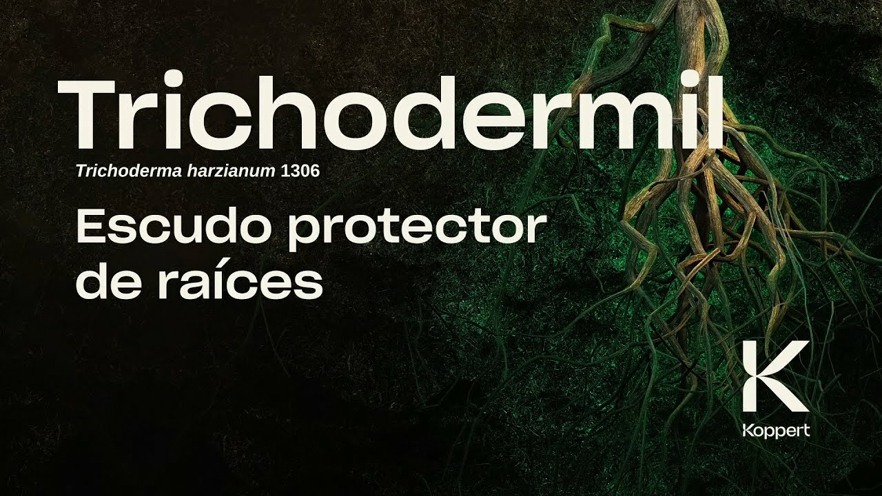 Trichodermil (Trichoderma harzianum 1306): Escudo protector de raíces