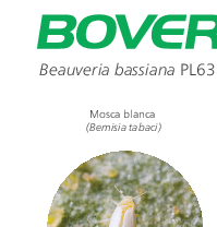 Boveril – Folleto